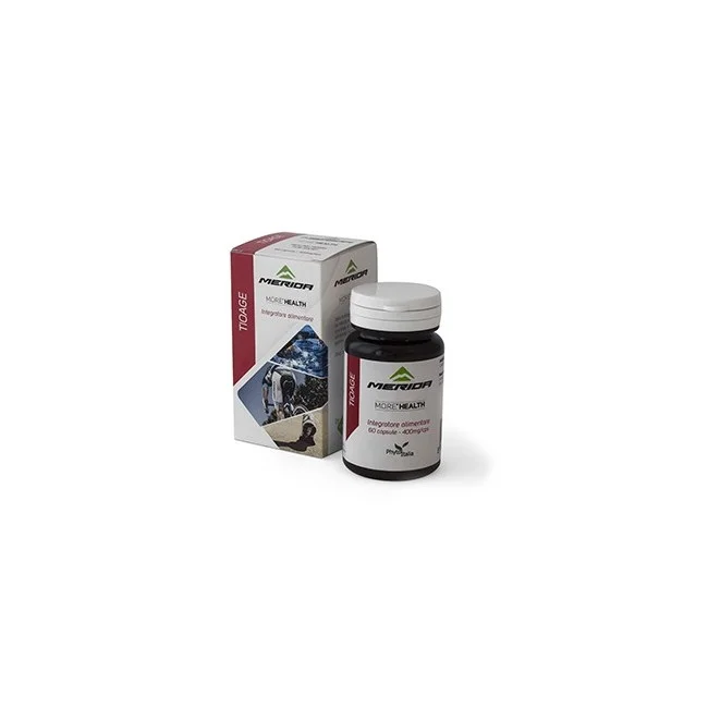 2026_06_25_56439