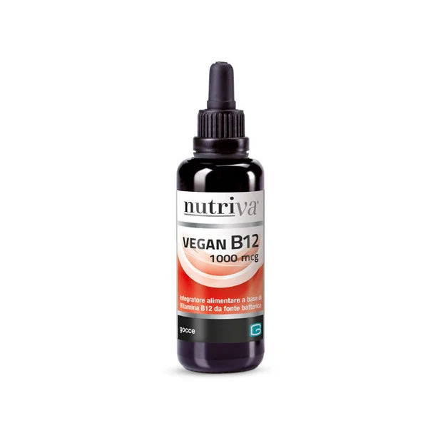 2026_06_25_66700